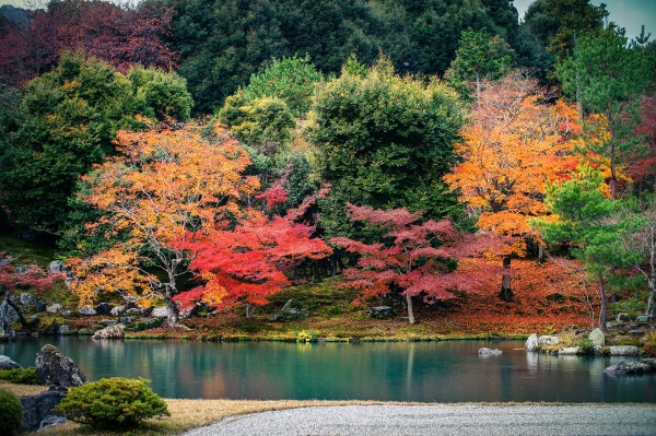 秋天去日本赏红叶有什么特别的技巧?_有路网问答
